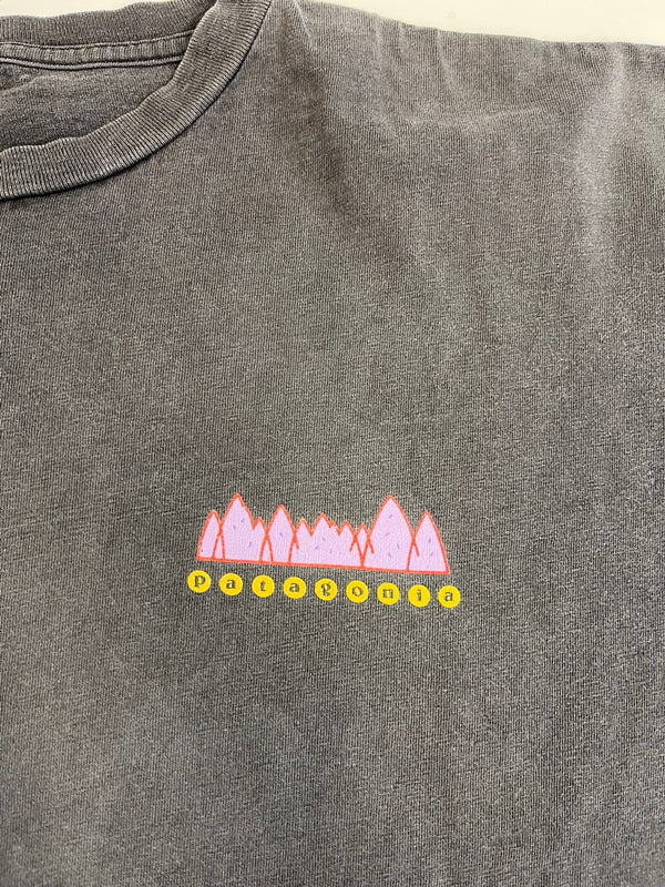 パタゴニア PATAGONIA 90s Vintage ヴィンテージ 雪なしタグ USA製 生態系 絶滅危惧種 プリントTシャツ 半袖カットソー 墨黒 XL Tシャツ ブラック LLサイズ 101MT-4700