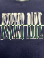 チャンピオン Champion 90s 90's REVERSE WEAVE リバースウィーブ WINTER PARK プリント 刺繍タグ US古着 ヴィンテージ USA製 紺 スウェット ネイビー Mサイズ 101MT-5131