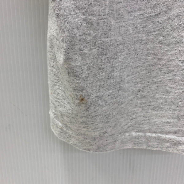 シュプリーム SUPREME American Picture Tee Tシャツ グレー Lサイズ 201MT-4042