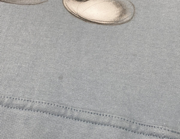 ウィンダンシー WIND AND SEA × Disney ディズニー 100周年 MICKEY MOUSE HOODIE ミッキー フーディー パーカー 青 WDS-C-DSN-23-Q4-01 パーカ プリント ブルー Lサイズ 104MT-1333