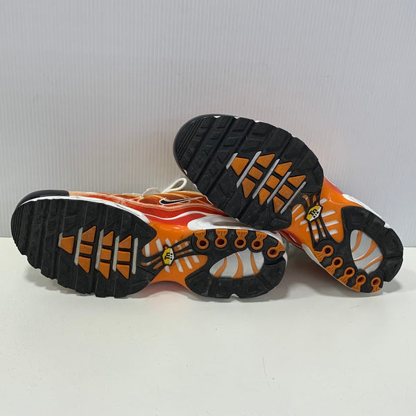 ナイキ NIKE エアマックスプラス ソーラーフレア Air Max Plus Solar Flare DZ3531-600  メンズ靴 スニーカー オレンジ 30cmサイズ 201-shoes1277