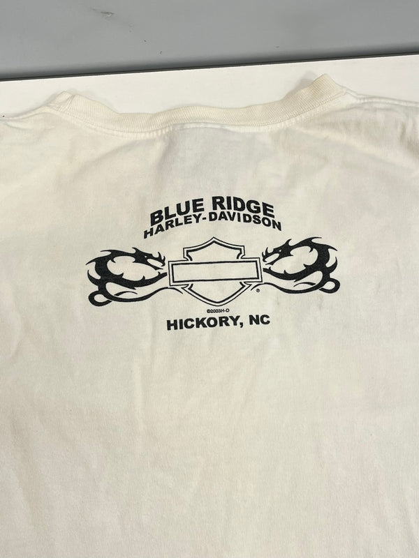 ハーレーダビッドソン Harley-Davidson 00’s BLUE RIDGE バーアンドシールドロゴ トライバル柄 袖プリント 両面プリント VINTAGE ヴィンテージ XL ロンT ホワイト LLサイズ 101MT-4567