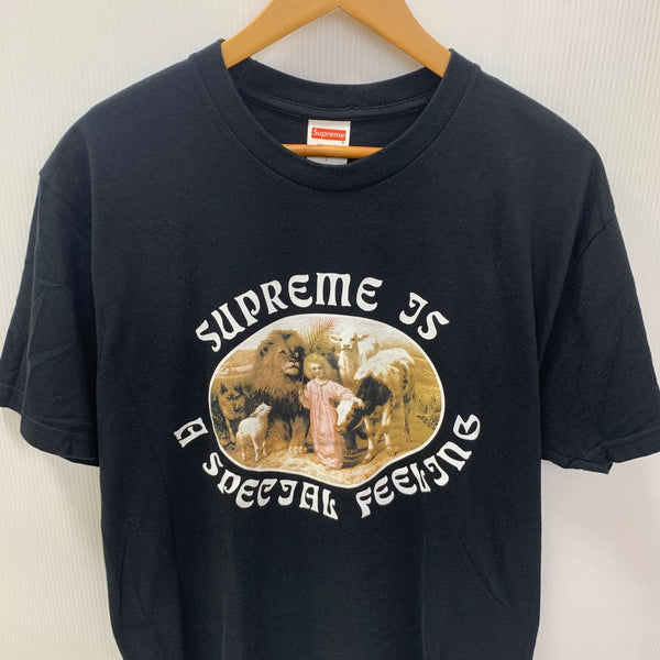 シュプリーム SUPREME Feeling Tee Tシャツ ブラック Lサイズ 201MT-4043