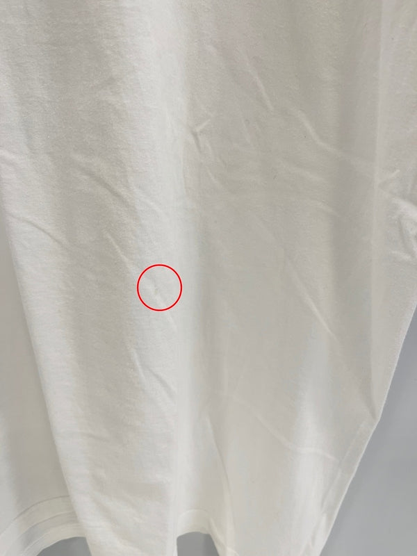 パタゴニア PATAGONIA 90s Vintage ヴィンテージ USA製 Benetical T's Rhythm リズム プリントTシャツ XL Tシャツ ホワイト LLサイズ 101MT-4706