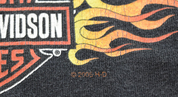 ハーレーダビッドソン HARLEY-DAVIDSON  2005年 ファイヤー フレイム ロゴ Tシャツ 2X 2X Tシャツ ブラック 103MT-3018