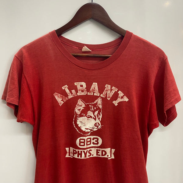 【曜日割引対象外】 チャンピオン Champion 60's ランタグ ALBANY Tシャツ レッド Mサイズ 201MT-4228 VB