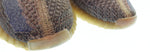 アディダス adidas YEZZY BOOST 350 V2 ローカットスニーカー HO2795 メンズ靴 スニーカー ブラウン 26.5cm 103S-1215