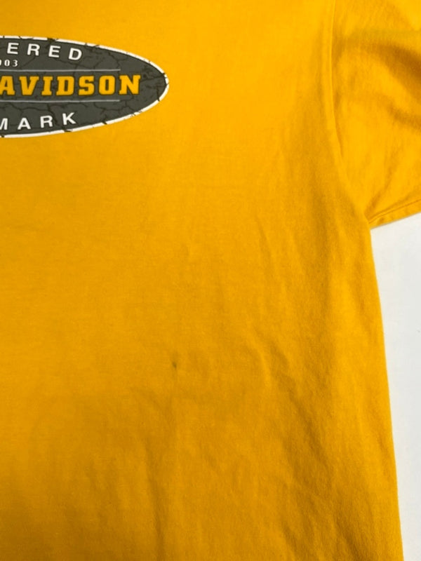ハーレーダビットソン Harley-Davidson 00s 00's ©2004 バイク バイカー モーターサイクル バックプリント アメリカ製 MADE IN USA US古着 黄色 Tシャツ イエロー Lサイズ 101MT-4527