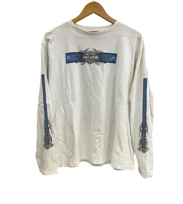 ハーレーダビッドソン Harley-Davidson 00’s BLUE RIDGE バーアンドシールドロゴ トライバル柄 袖プリント 両面プリント VINTAGE ヴィンテージ XL ロンT ホワイト LLサイズ 101MT-4567