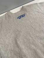 チャンピオン Champion 90s～ ヴィンテージ vintage 刺繍タグ リバースウィーブ REVERSE WEAVE 刺繍ロゴ  USA製 アメリカ製 XL スウェット ホワイト LLサイズ 101MT-4517