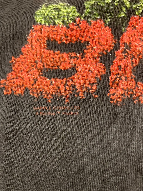 バンド band 90’s 90年代 THE BEATLES Sgt. Pepper's Lonely Hearts Club Band  ビートルズ サージェント・ペパーズ・ロンリー・ハーツ・クラブ・バンド VINTAGE ヴィンテージ XL Tシャツ ブラック LLサイズ 101MT-5056