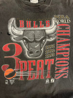 ヴィンテージ vintage 90s 1993 NBA 3PEAT Champions US古着 CHICAGO BULLS シカゴブルズ 墨黒 シングルステッチ Tシャツ ブラック Lサイズ 101MT-4828