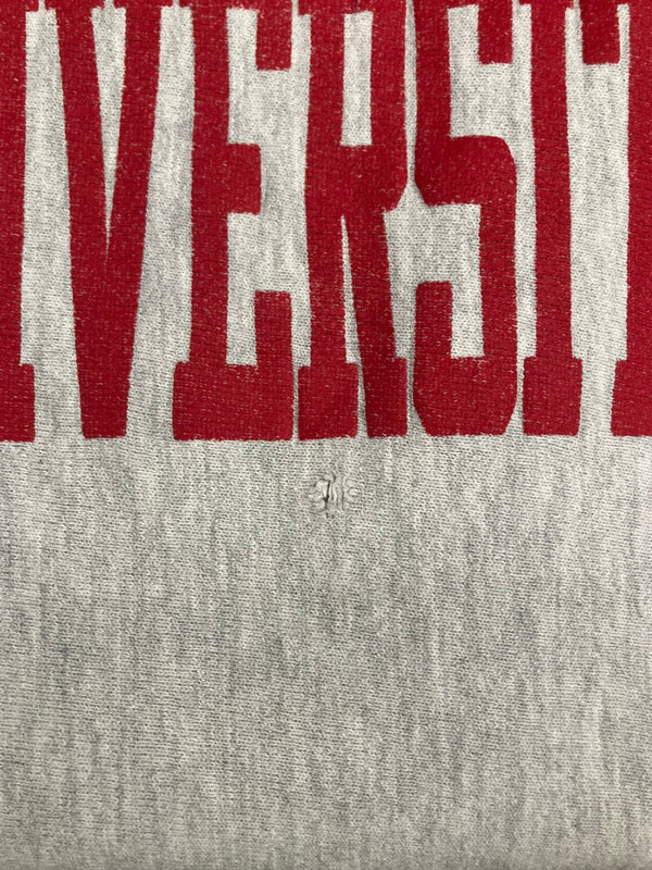 チャンピオン Champion 90's 90年代 ヴィンテージ vintage 刺繍タグ REVERSE WEAVE リバースウィーブ 3段プリント カプセル カレッジ  アメリカ製 MADE IN USA XXL スウェット グレー 3Lサイズ 101MT-4101