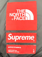 ノースフェイス THE NORTH FACE シュプリーム Supreme 19AW STATUE PRINT Baltro Jacket  ジャケット ロゴ ブラック 201MT-1750