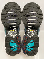 ナイキ NIKE AIR MAX PLUS WHITE/BLACK-GRAPE ICE エア マックス プラス グレープ ホワイト系 白 シューズ DM0032-100 メンズ靴 スニーカー ホワイト 28.5cm 101-shoes960