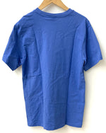 シュプリーム SUPREME 22FW Supreme Nike ACG Grid Tee Tシャツ ロゴ ブルー Mサイズ 201MT-2050