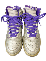 ナイキ NIKE DUNK HIGH PREMIUM SB DINOSAUR JR METALLIC SILVER ...