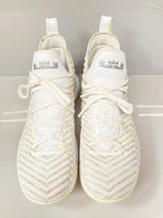 ナイキ NIKE LEBRON 16 WHITE/MULTI-COLOR-HYPER GRAPE バスケットボール レブロン 16 ホワイト系 白 シューズ  AO2588-102 メンズ靴 スニーカー ホワイト 28.5cm 101-shoes773