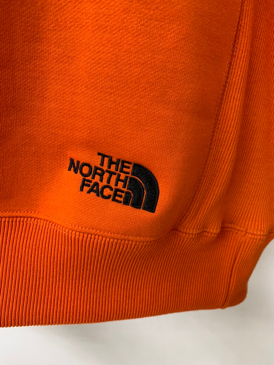 ノースフェイス THE NORTH FACE ビッグフーディー BIG HOODIE プル