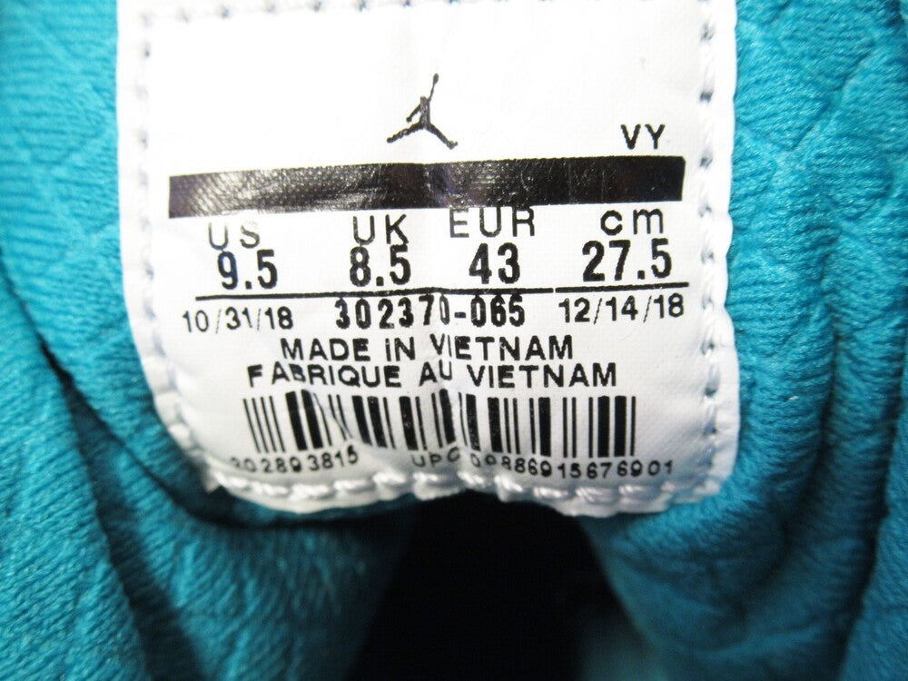 NIKE AIR JORDAN 9 RETRO DREAM IT, DO IT (302370-065) ナイキ エア